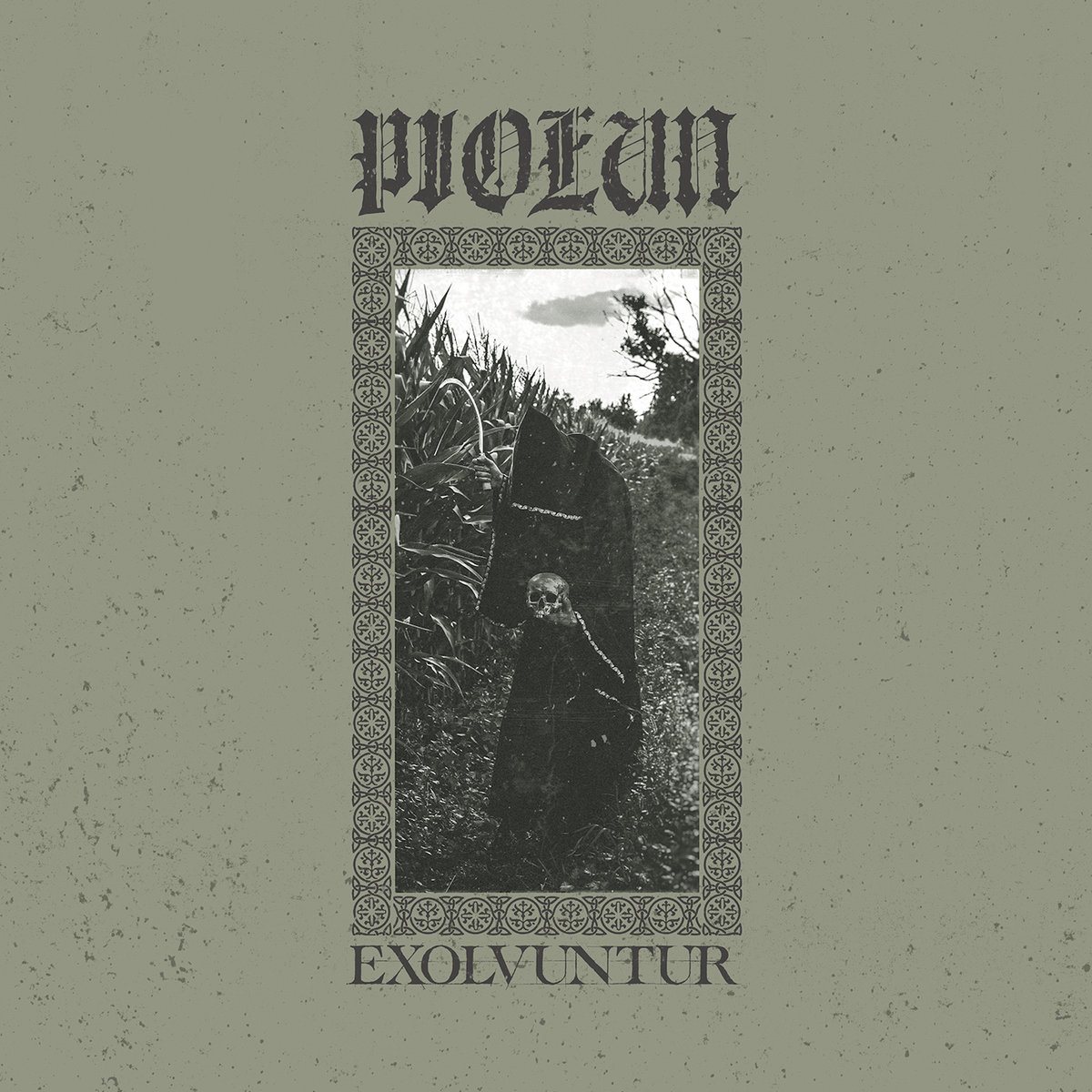 Piołun - Exolvuntur