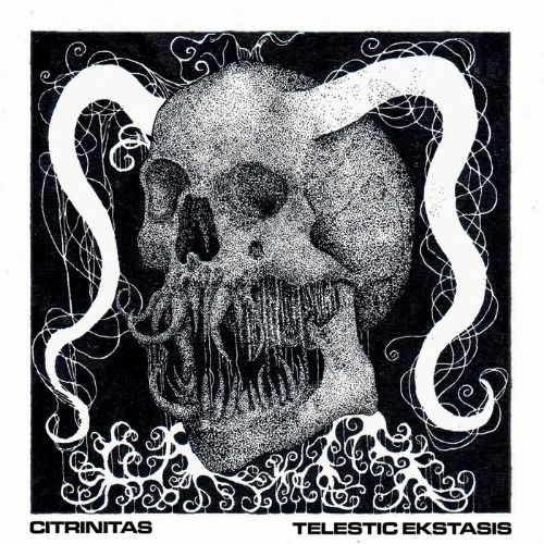 Citrinitas – Telestic Ekstasis