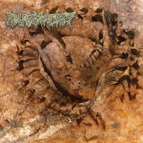 Pharmacist - Vertebrae After Vertebrae